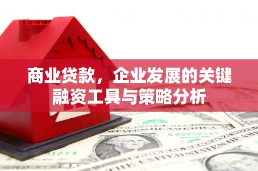 左云商业贷款，企业发展的关键融资工具与策略分析