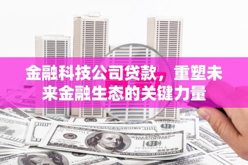 左云金融科技公司贷款，重塑未来金融生态的关键力量