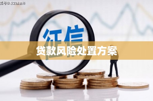 左云贷款风险处置方案
