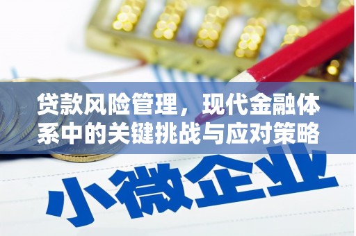 左云贷款风险管理，现代金融体系中的关键挑战与应对策略