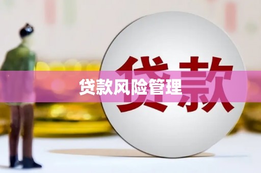 左云贷款风险管理
