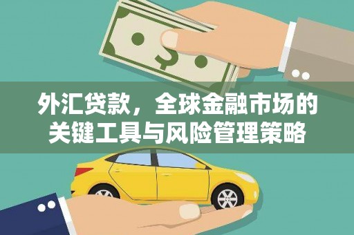 左云外汇贷款，全球金融市场的关键工具与风险管理策略
