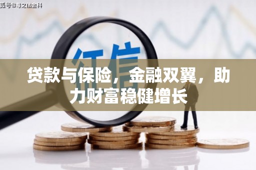 左云贷款与保险，金融双翼，助力财富稳健增长