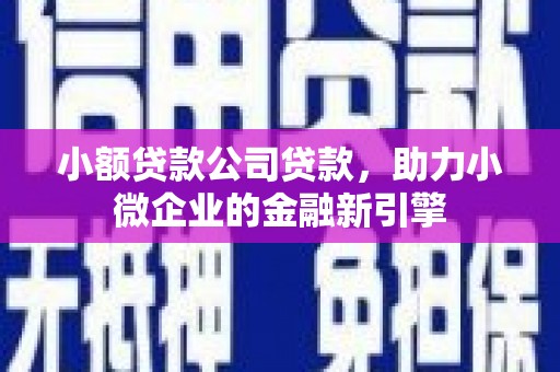 左云小额贷款公司贷款，助力小微企业的金融新引擎