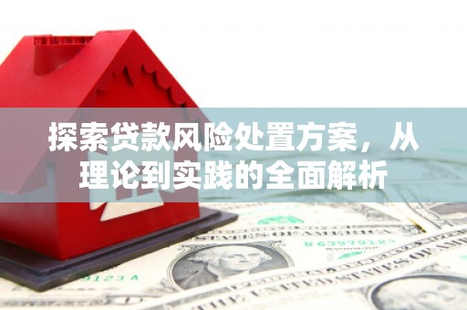 左云探索贷款风险处置方案，从理论到实践的全面解析