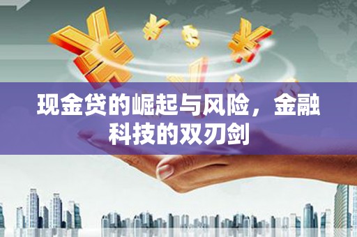 左云现金贷的崛起与风险，金融科技的双刃剑
