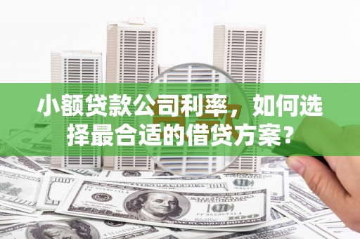 左云小额贷款公司利率，如何选择最合适的借贷方案？