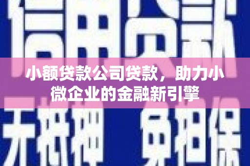 左云小额贷款公司贷款，助力小微企业的金融新引擎
