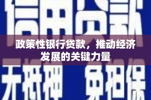 左云政策性银行贷款，推动经济发展的关键力量