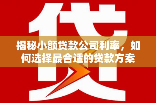 左云揭秘小额贷款公司利率，如何选择最合适的贷款方案