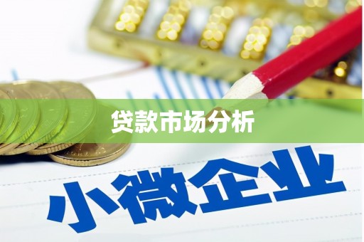 左云贷款市场分析