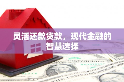 左云灵活还款贷款，现代金融的智慧选择