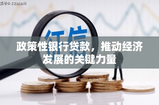 左云政策性银行贷款，推动经济发展的关键力量