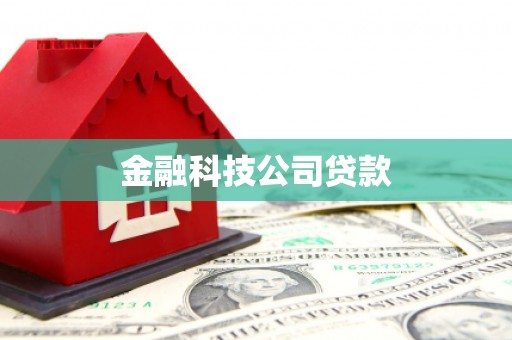 左云金融科技公司贷款