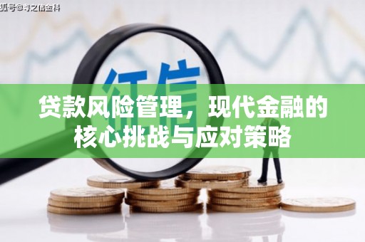 左云贷款风险管理，现代金融的核心挑战与应对策略