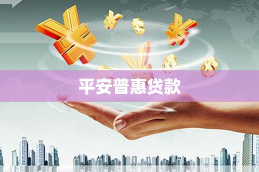 左云平安普惠贷款