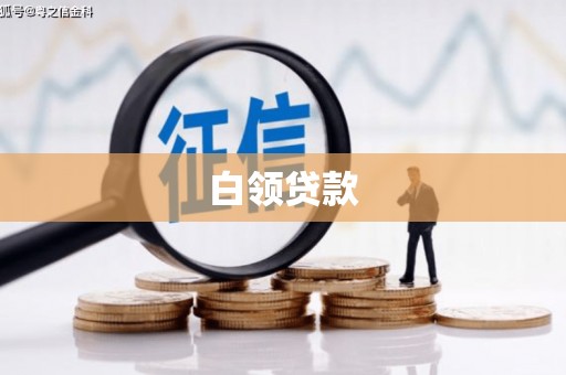 左云白领贷款