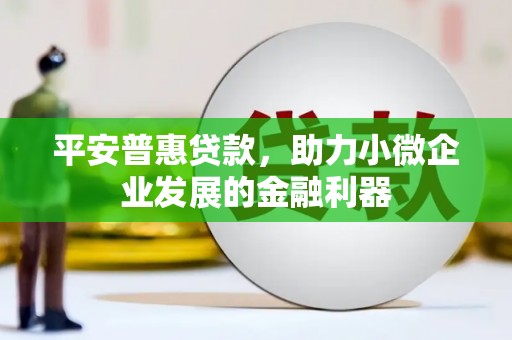 左云平安普惠贷款，助力小微企业发展的金融利器