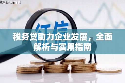 左云税务贷助力企业发展，全面解析与实用指南