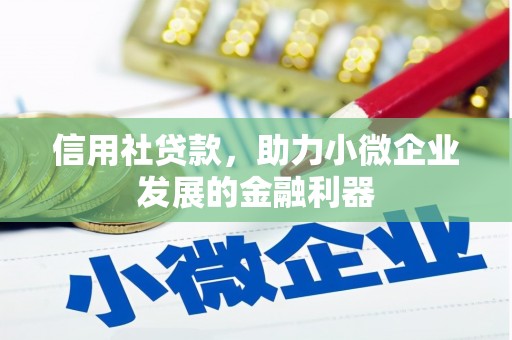 左云信用社贷款，助力小微企业发展的金融利器