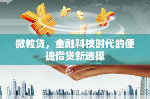 左云微粒贷，金融科技时代的便捷借贷新选择