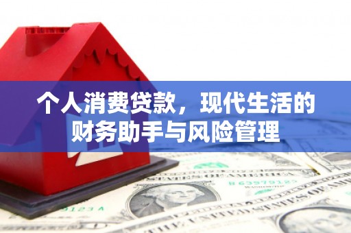 左云个人消费贷款，现代生活的财务助手与风险管理
