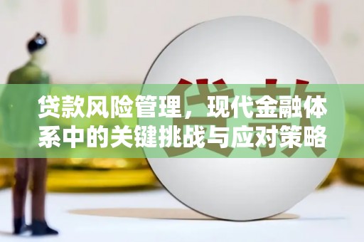左云贷款风险管理，现代金融体系中的关键挑战与应对策略
