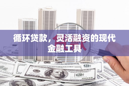 左云循环贷款，灵活融资的现代金融工具