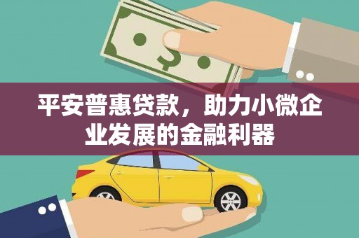 左云平安普惠贷款，助力小微企业发展的金融利器