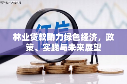 左云林业贷款助力绿色经济，政策、实践与未来展望