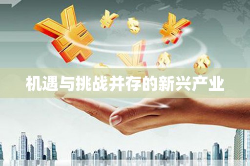 左云机遇与挑战并存的新兴产业