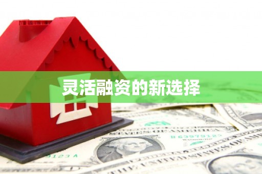 左云灵活融资的新选择