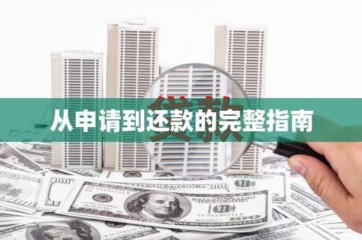 左云从申请到还款的完整指南
