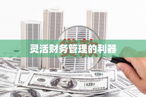左云灵活财务管理的利器
