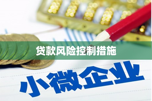 左云贷款风险控制措施
