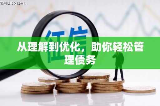 左云从理解到优化，助你轻松管理债务