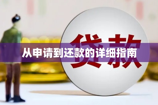 左云从申请到还款的详细指南