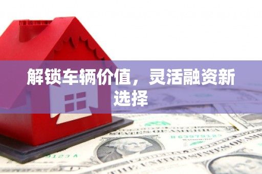 左云解锁车辆价值，灵活融资新选择