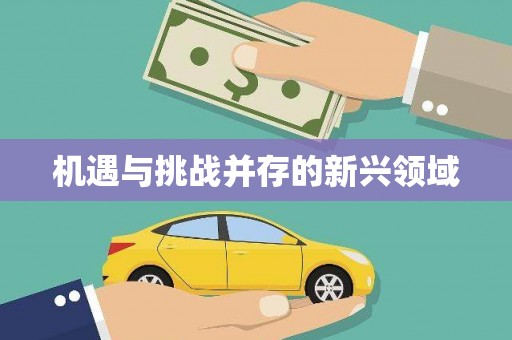 左云机遇与挑战并存的新兴领域