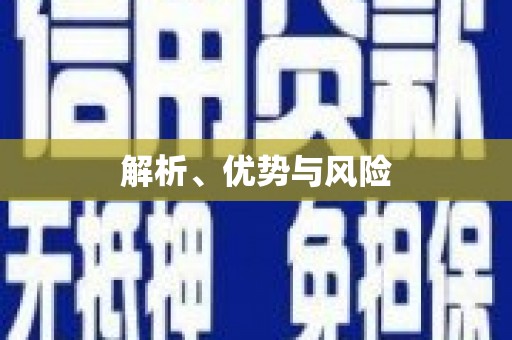 左云解析、优势与风险