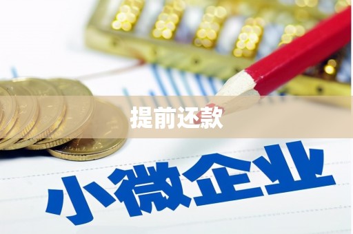 左云提前还款