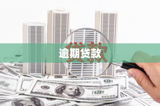 左云逾期贷款