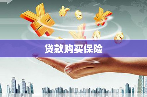 左云贷款购买保险