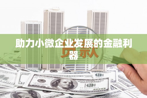 左云助力小微企业发展的金融利器