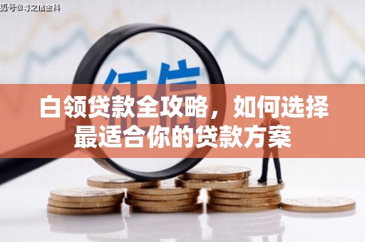 左云白领贷款全攻略，如何选择最适合你的贷款方案