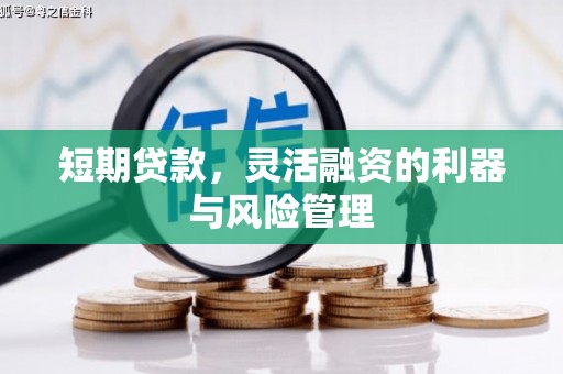 左云短期贷款，灵活融资的利器与风险管理