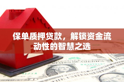 左云保单质押贷款，解锁资金流动性的智慧之选
