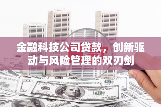 左云金融科技公司贷款，创新驱动与风险管理的双刃剑